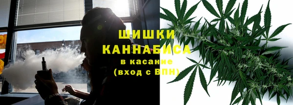 мяу мяу мука Баксан