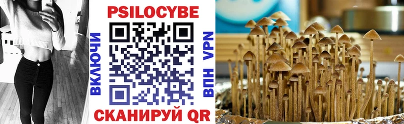 купить   Вуктыл  Псилоцибиновые грибы Psilocybine cubensis 