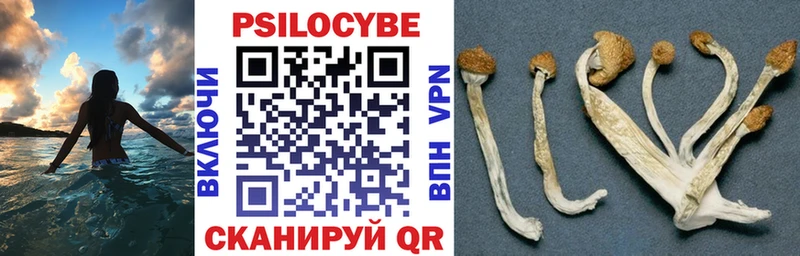 Галлюциногенные грибы мицелий Вуктыл